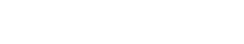 netcoins_logo
